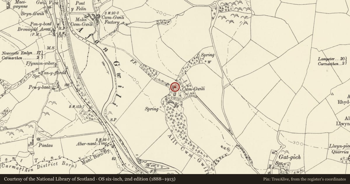 Ordnance Survey six-inch map, 2nd edition (1888–1913) covering the location of Service building on N side of Cwmgwili, Bronwydd, Carmarthenshire, with a pin at the register's coordinates