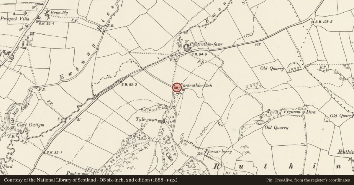 Ordnance Survey six-inch map, 2nd edition (1888–1913) covering the location of Cowshed at Pantruthin-fach Farm, Llangan, Vale of Glamorgan, with a pin at the register's coordinates