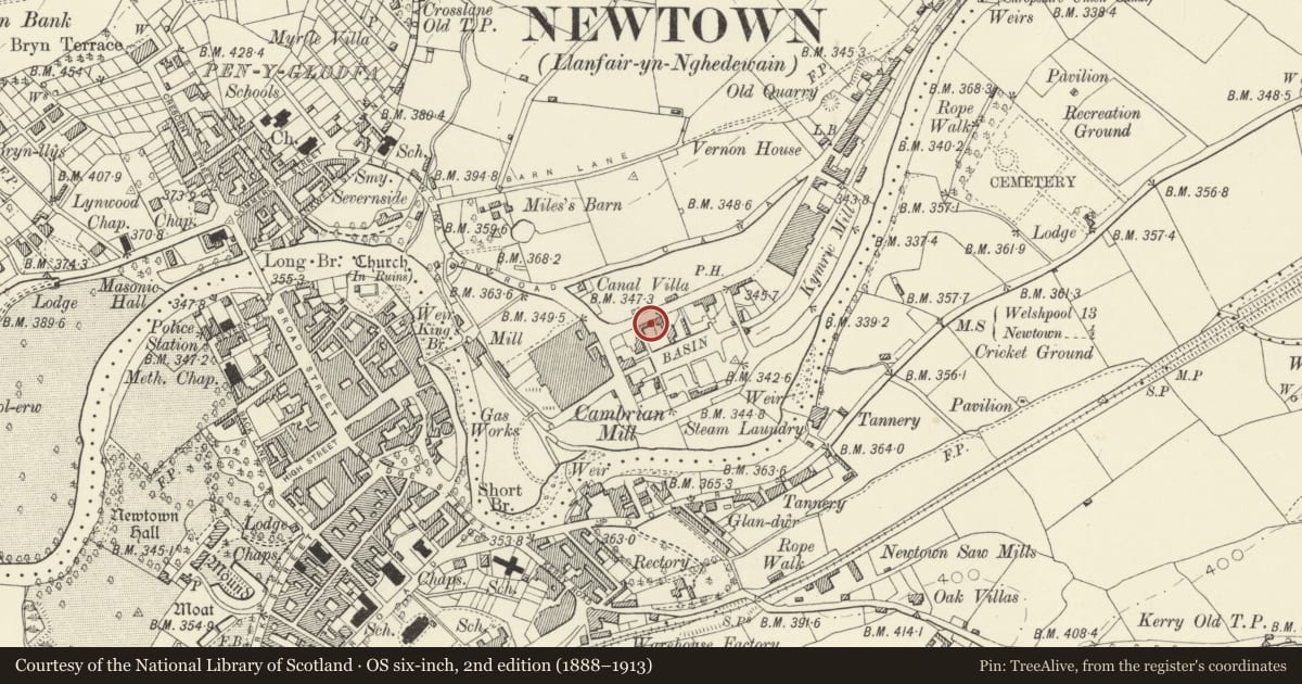 Ordnance Survey six-inch map, 2nd edition (1888–1913) covering the location of 8 Lower Canal Road, Newtown and Llanllwchaiarn, Powys, with a pin at the register's coordinates