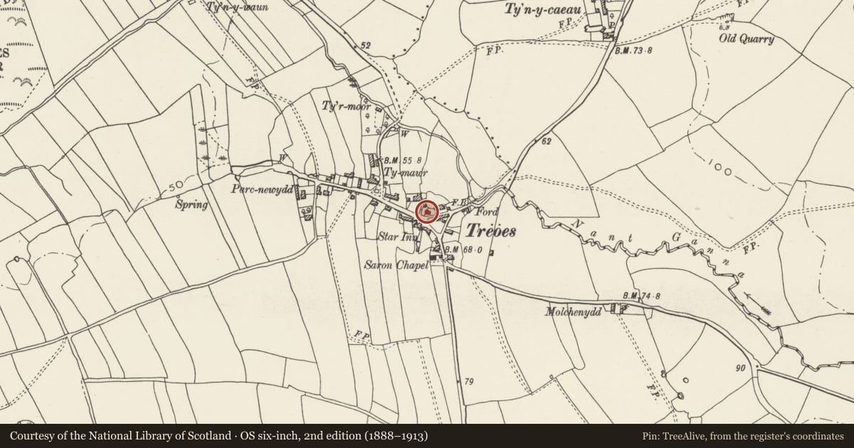 Ordnance Survey six-inch map, 2nd edition (1888–1913) covering the location of Treoes Farmhouse, Llangan, Vale of Glamorgan, with a pin at the register's coordinates