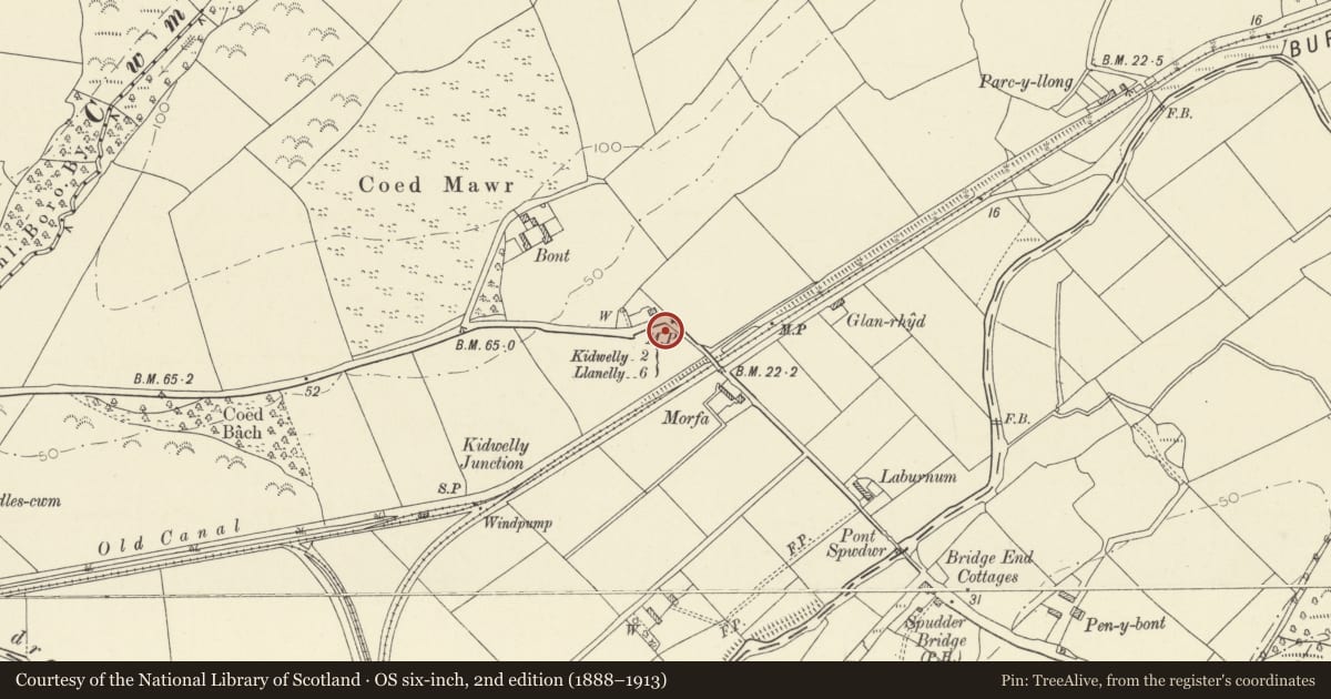 Ordnance Survey six-inch map, 2nd edition (1888–1913) covering the location of Milepost on B4308 at Bont Cottages, Trimsaran, Carmarthenshire, with a pin at the register's coordinates