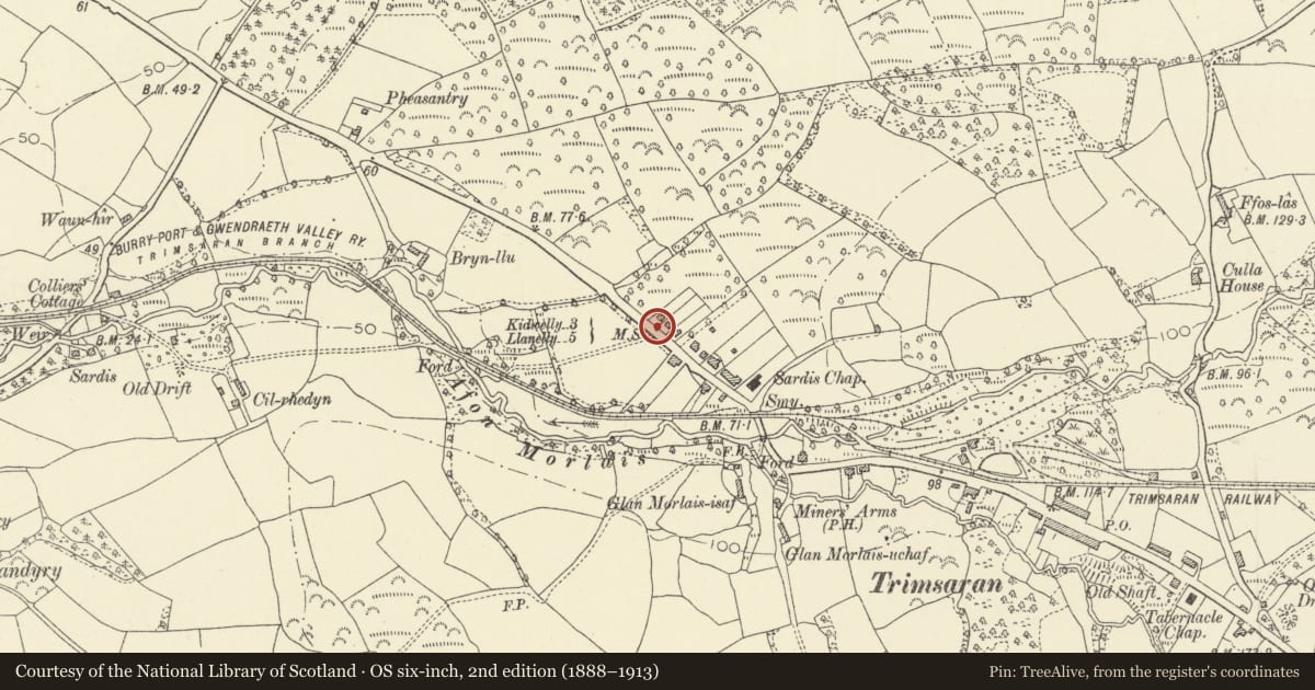 Ordnance Survey six-inch map, 2nd edition (1888–1913) covering the location of Milepost on Bryncaerau, Trimsaran, Carmarthenshire, with a pin at the register's coordinates