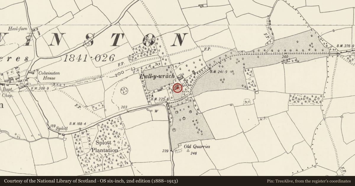 Ordnance Survey six-inch map, 2nd edition (1888–1913) covering the location of Pwll-y-wrach, Colwinston, Vale of Glamorgan, with a pin at the register's coordinates