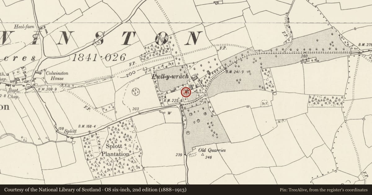 Ordnance Survey six-inch map, 2nd edition (1888–1913) covering the location of West Garden House at Pwll-y-wrach, Colwinston, Vale of Glamorgan, with a pin at the register's coordinates