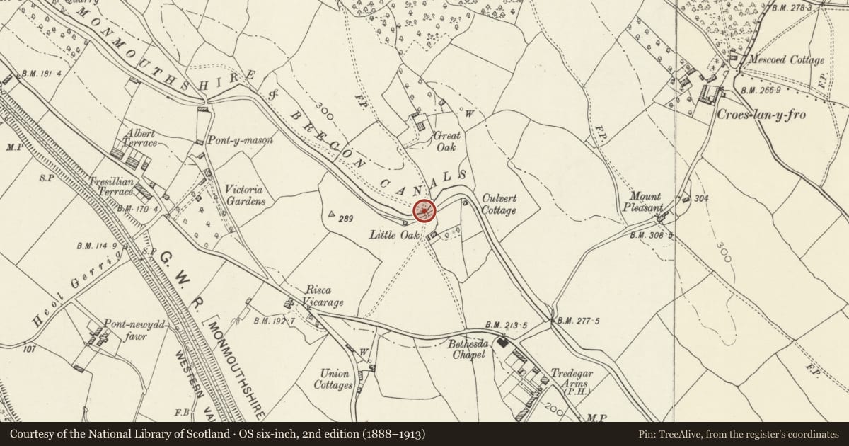 Ordnance Survey six-inch map, 2nd edition (1888–1913) covering the location of Canal Bridge over Monmouthshire and Brecon Canal N of Little Oak, Rogerstone, Newport, with a pin at the register's coordinates