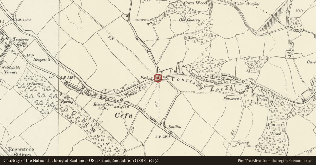 Ordnance Survey six-inch map, 2nd edition (1888–1913) covering the location of Cefn Canal Bridge over Monmouthshire and Brecon Canal, Rogerstone, Newport, with a pin at the register's coordinates