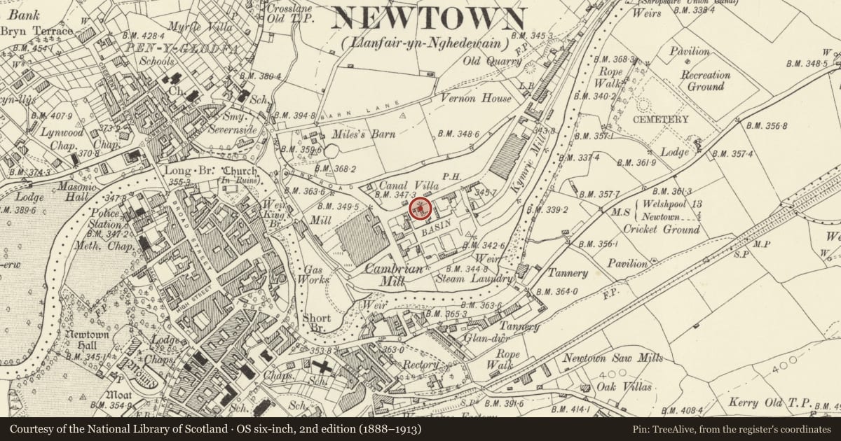 Ordnance Survey six-inch map, 2nd edition (1888–1913) covering the location of 11 Lower Canal Road, Newtown and Llanllwchaiarn, Powys, with a pin at the register's coordinates