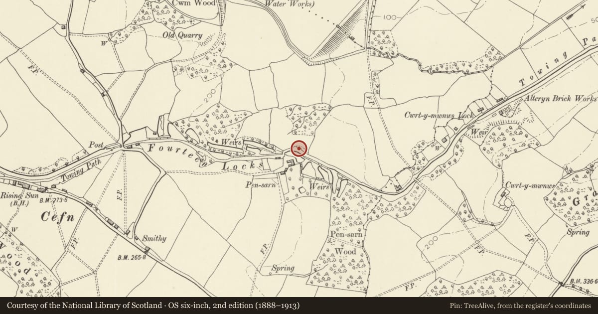 Ordnance Survey six-inch map, 2nd edition (1888–1913) covering the location of Limekiln near Pensarn Farm, Rogerstone, Newport, with a pin at the register's coordinates
