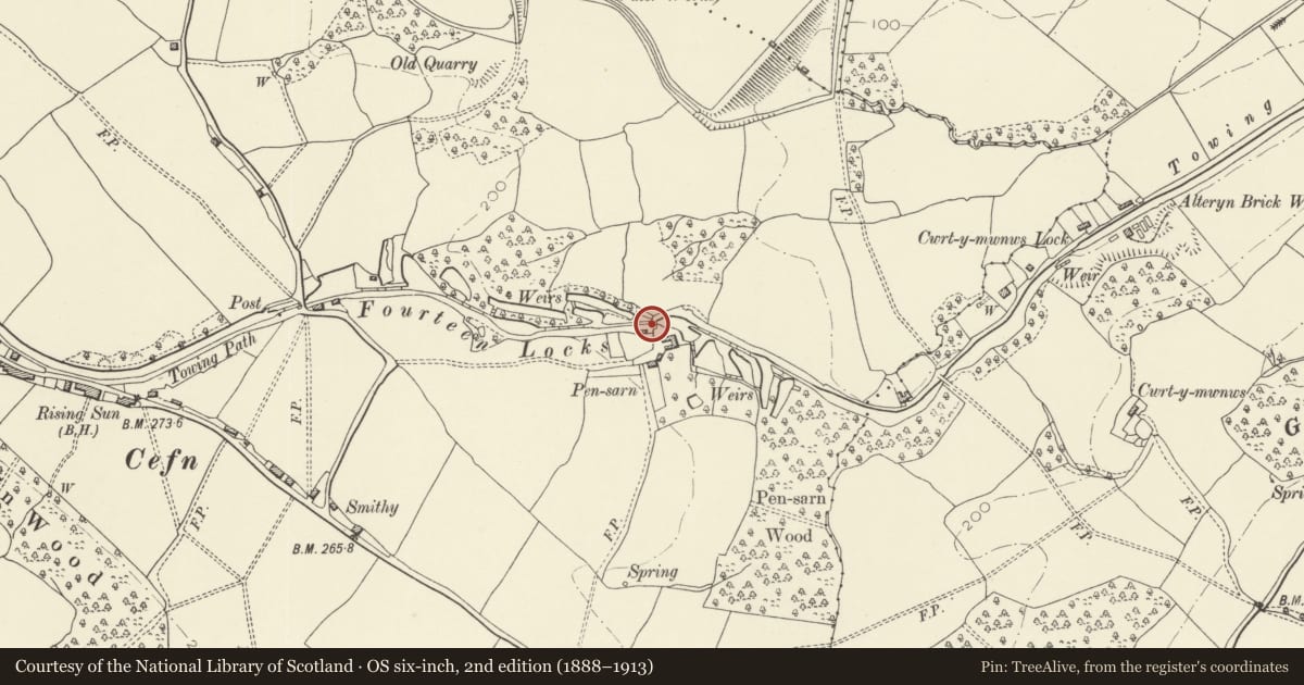 Ordnance Survey six-inch map, 2nd edition (1888–1913) covering the location of Pensarn Canal Bridge over Monmouthshire and Brecon Canal, Rogerstone, Newport, with a pin at the register's coordinates
