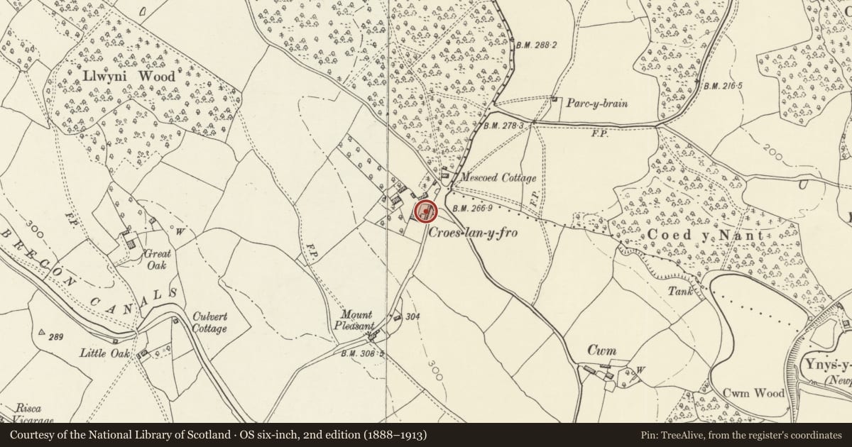 Ordnance Survey six-inch map, 2nd edition (1888–1913) covering the location of Range on left (east) side of yard at Croesllanfro Farm, Rogerstone, Newport, with a pin at the register's coordinates