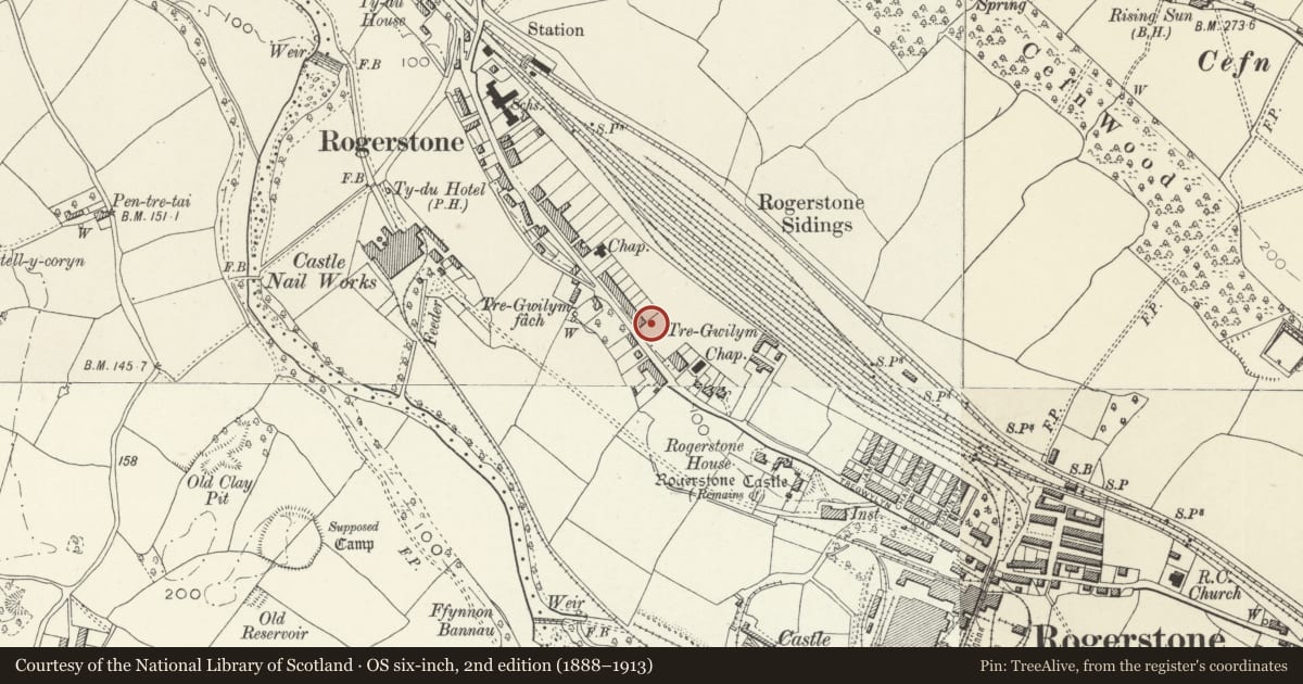 Ordnance Survey six-inch map, 2nd edition (1888–1913) covering the location of Rogerstone Public Library, Newport, with a pin at the register's coordinates