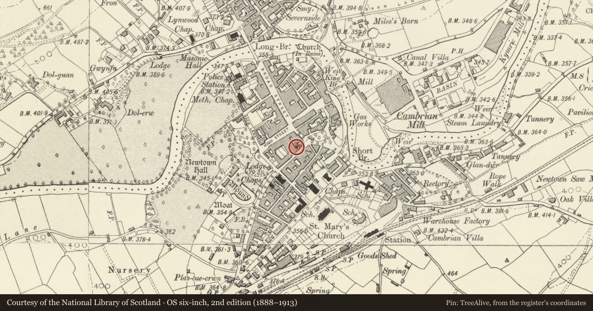 Ordnance Survey six-inch map, 2nd edition (1888–1913) covering the location of BJ's Electrical, Newtown and Llanllwchaiarn, Powys, with a pin at the register's coordinates