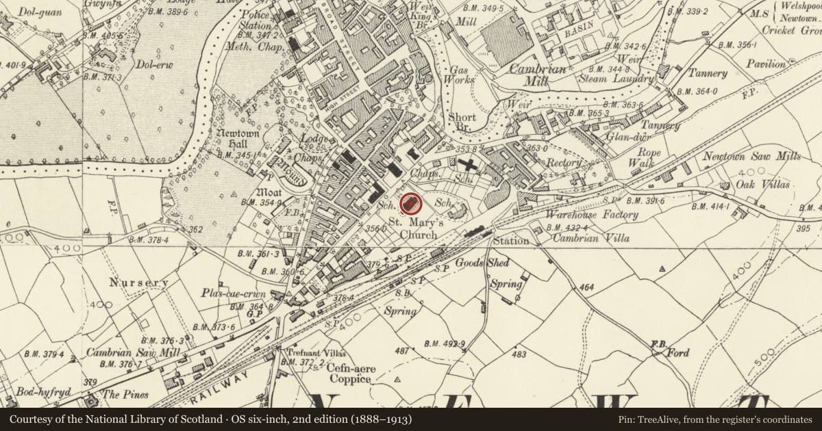 Ordnance Survey six-inch map, 2nd edition (1888–1913) covering the location of Parish Church of St David including Wall Fronting New Road, Newtown and Llanllwchaiarn, Powys, with a pin at the register's coordinates
