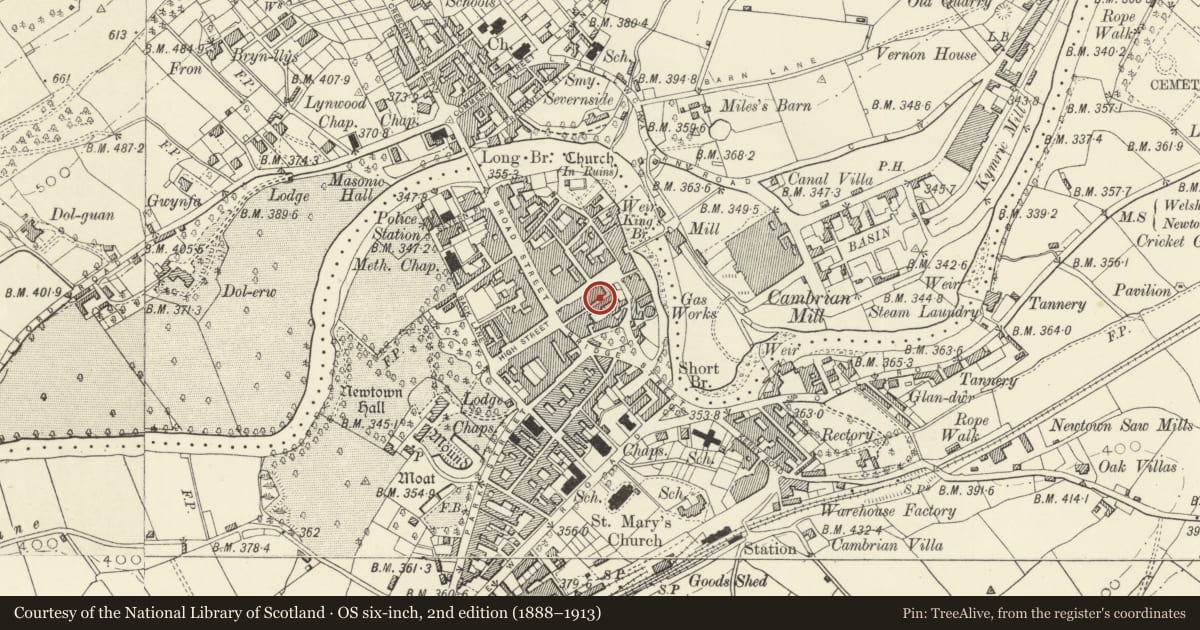 Ordnance Survey six-inch map, 2nd edition (1888–1913) covering the location of Warehouse, Newtown and Llanllwchaiarn, Powys, with a pin at the register's coordinates