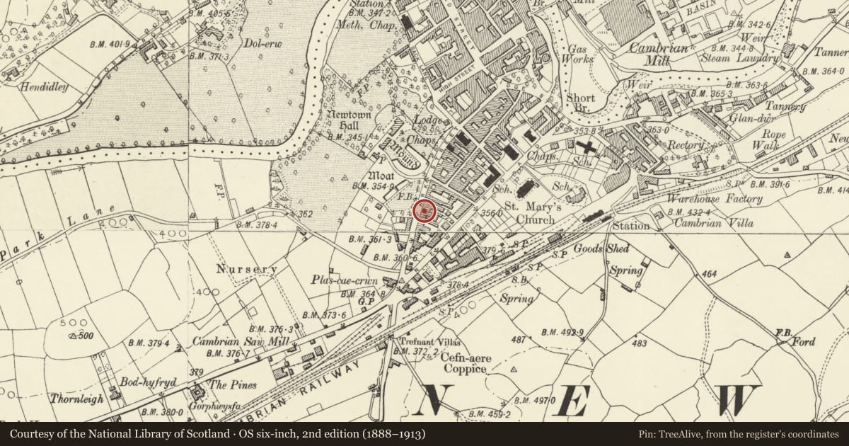 Ordnance Survey six-inch map, 2nd edition (1888–1913) covering the location of Cross Guns Inn, Newtown and Llanllwchaiarn, Powys, with a pin at the register's coordinates