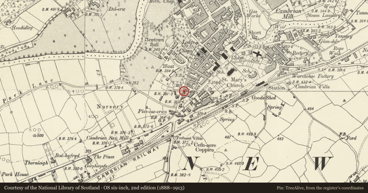 Ordnance Survey six-inch map, 2nd edition (1888–1913) covering the location of 37 Park Street, Newtown and Llanllwchaiarn, Powys, with a pin at the register's coordinates