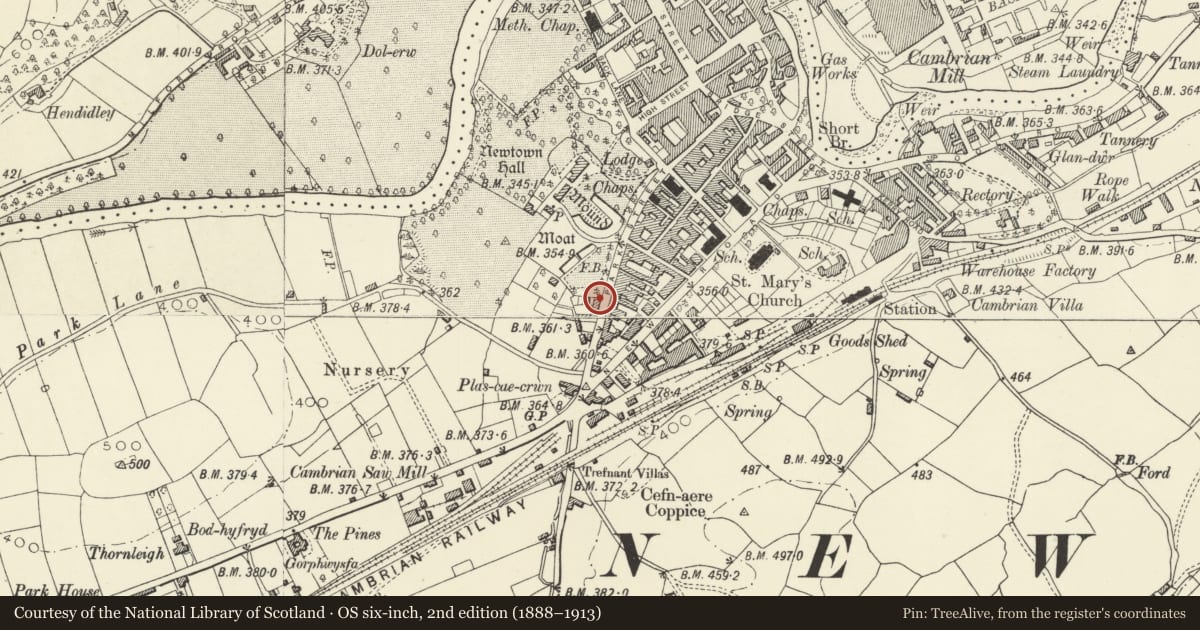 Ordnance Survey six-inch map, 2nd edition (1888–1913) covering the location of Park House, Newtown and Llanllwchaiarn, Powys, with a pin at the register's coordinates