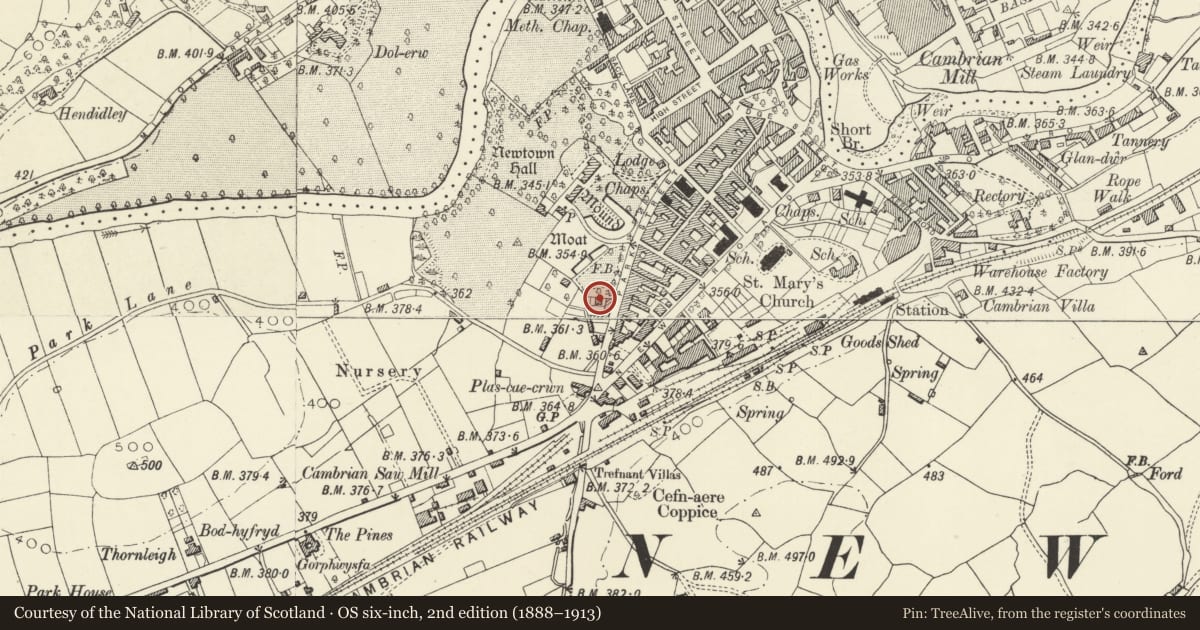 Ordnance Survey six-inch map, 2nd edition (1888–1913) covering the location of Park Place, Newtown and Llanllwchaiarn, Powys, with a pin at the register's coordinates