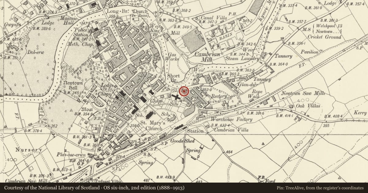 Ordnance Survey six-inch map, 2nd edition (1888–1913) covering the location of Queen's Head PH, Newtown and Llanllwchaiarn, Powys, with a pin at the register's coordinates