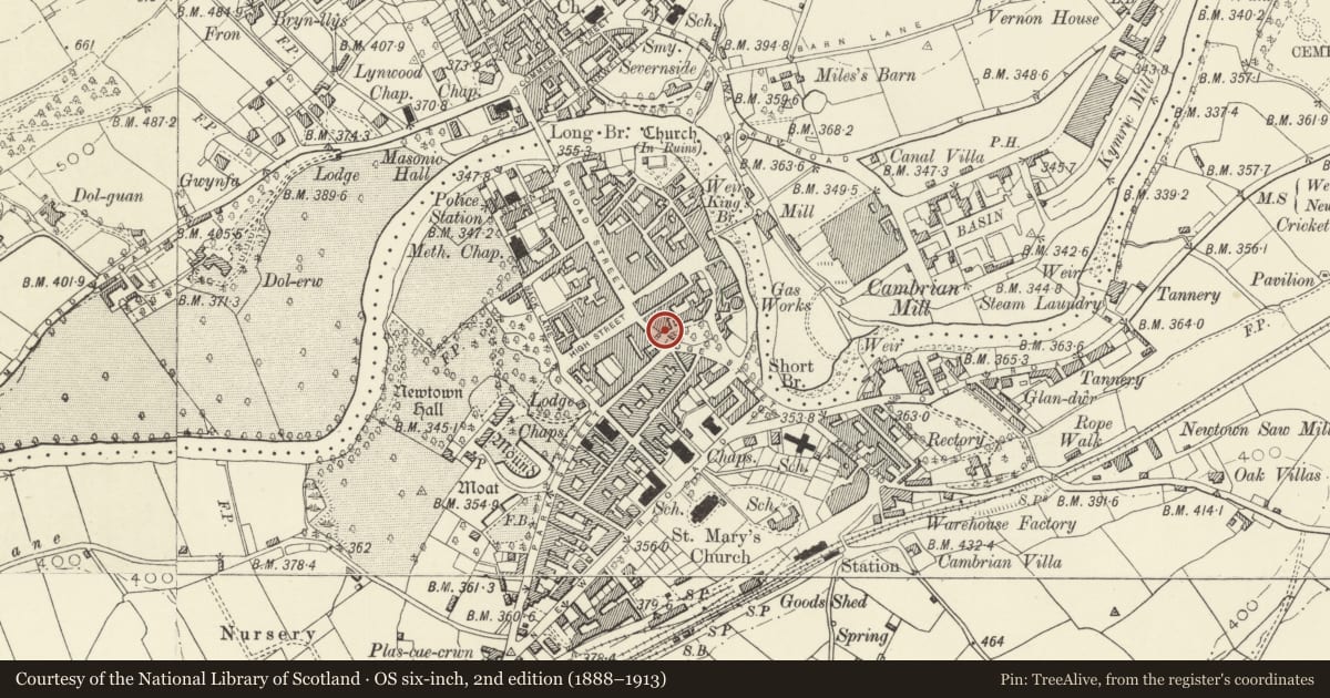 Ordnance Survey six-inch map, 2nd edition (1888–1913) covering the location of Eric Williams & Son, Newtown and Llanllwchaiarn, Powys, with a pin at the register's coordinates