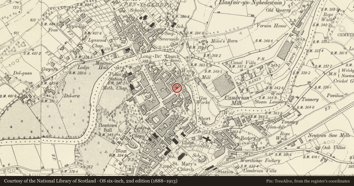 Ordnance Survey six-inch map, 2nd edition (1888–1913) covering the location of 5 Severn Square, Newtown and Llanllwchaiarn, Powys, with a pin at the register's coordinates
