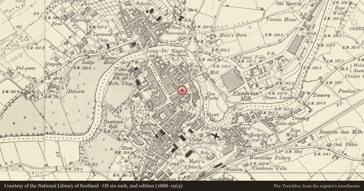 Ordnance Survey six-inch map, 2nd edition (1888–1913) covering the location of Studio 8, Newtown and Llanllwchaiarn, Powys, with a pin at the register's coordinates