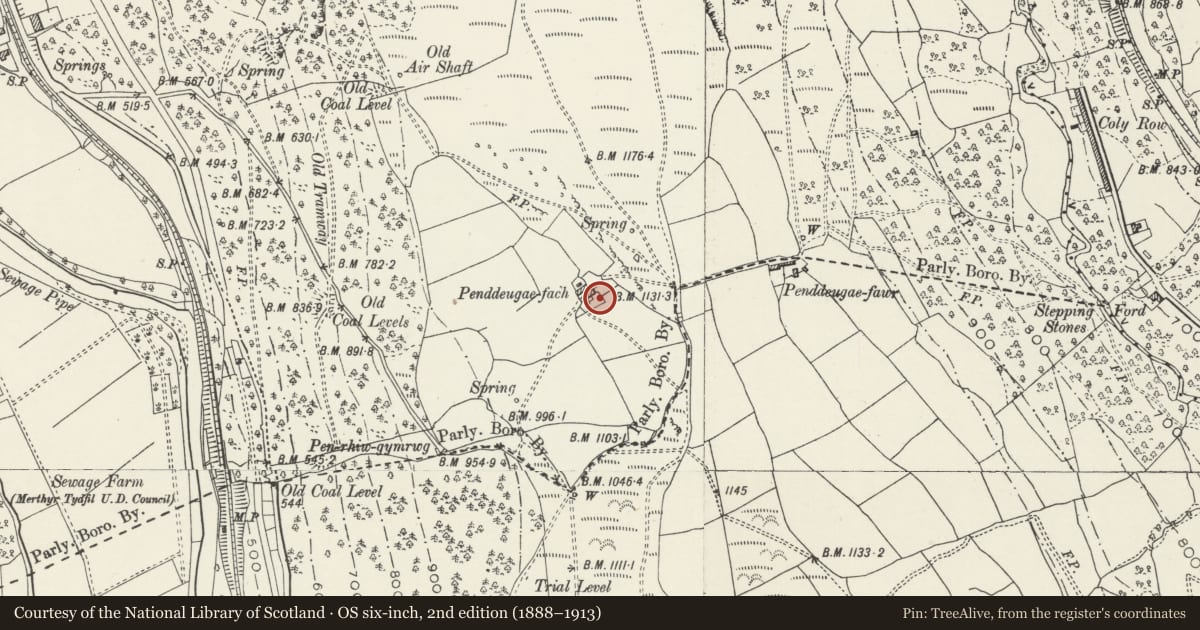 Ordnance Survey six-inch map, 2nd edition (1888–1913) covering the location of Corbelled pigsty at Penddeugae Fach, Troed-y-Rhiw, Merthyr Tydfil, with a pin at the register's coordinates