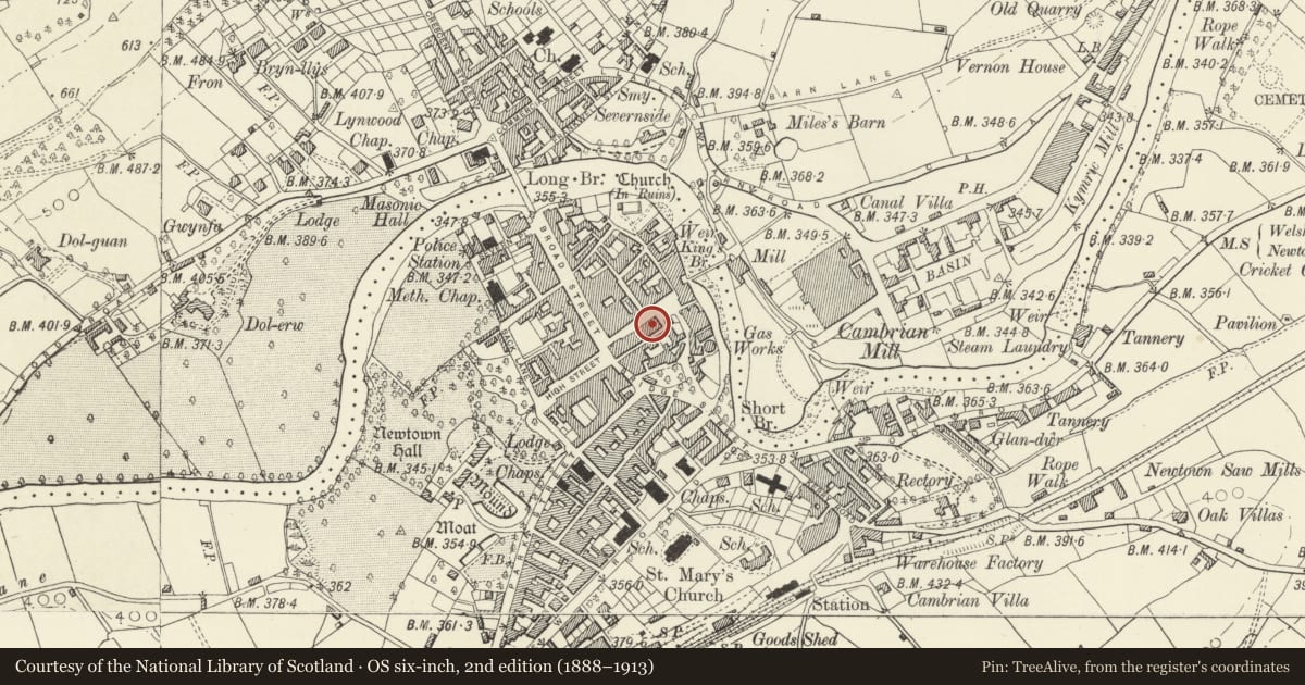 Ordnance Survey six-inch map, 2nd edition (1888–1913) covering the location of Jude's Fashion Boutique, Newtown and Llanllwchaiarn, Powys, with a pin at the register's coordinates