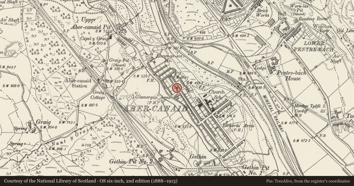 Ordnance Survey six-inch map, 2nd edition (1888–1913) covering the location of 73 Nightingale Street, Troed-y-Rhiw, Merthyr Tydfil, with a pin at the register's coordinates