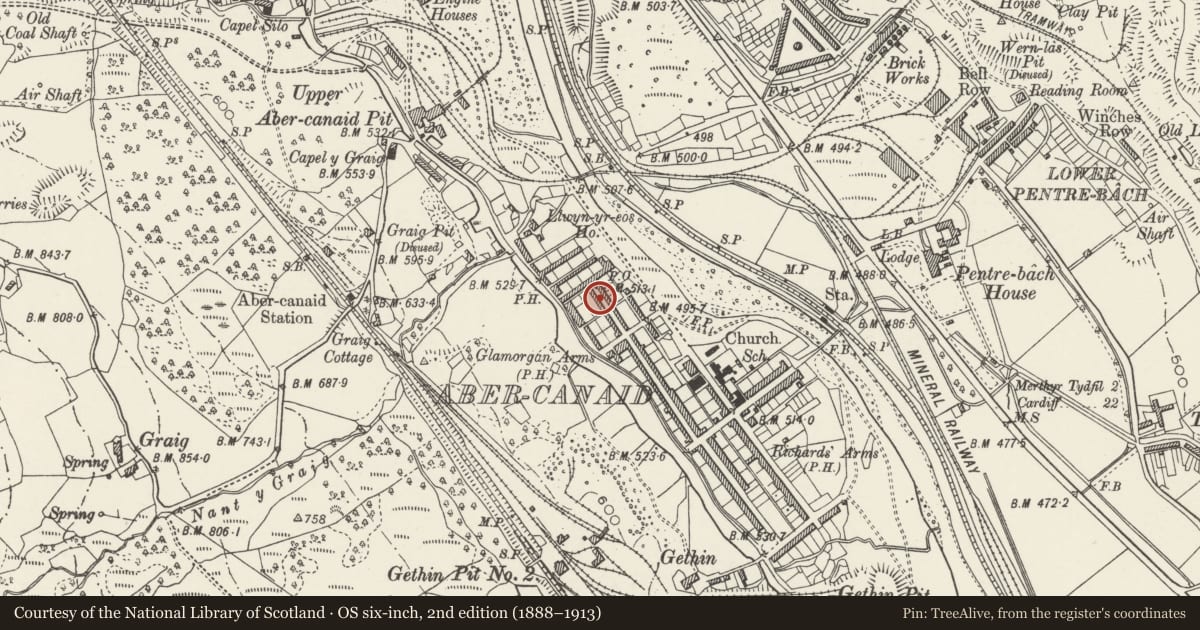 Ordnance Survey six-inch map, 2nd edition (1888–1913) covering the location of 79 Nightingale Street, Troed-y-Rhiw, Merthyr Tydfil, with a pin at the register's coordinates