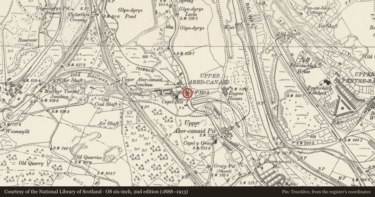 Ordnance Survey six-inch map, 2nd edition (1888–1913) covering the location of 3 Quay Row, Troed-y-Rhiw, Merthyr Tydfil, with a pin at the register's coordinates