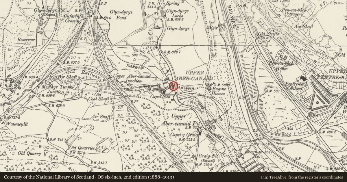 Ordnance Survey six-inch map, 2nd edition (1888–1913) covering the location of 5 Quay Row, Troed-y-Rhiw, Merthyr Tydfil, with a pin at the register's coordinates