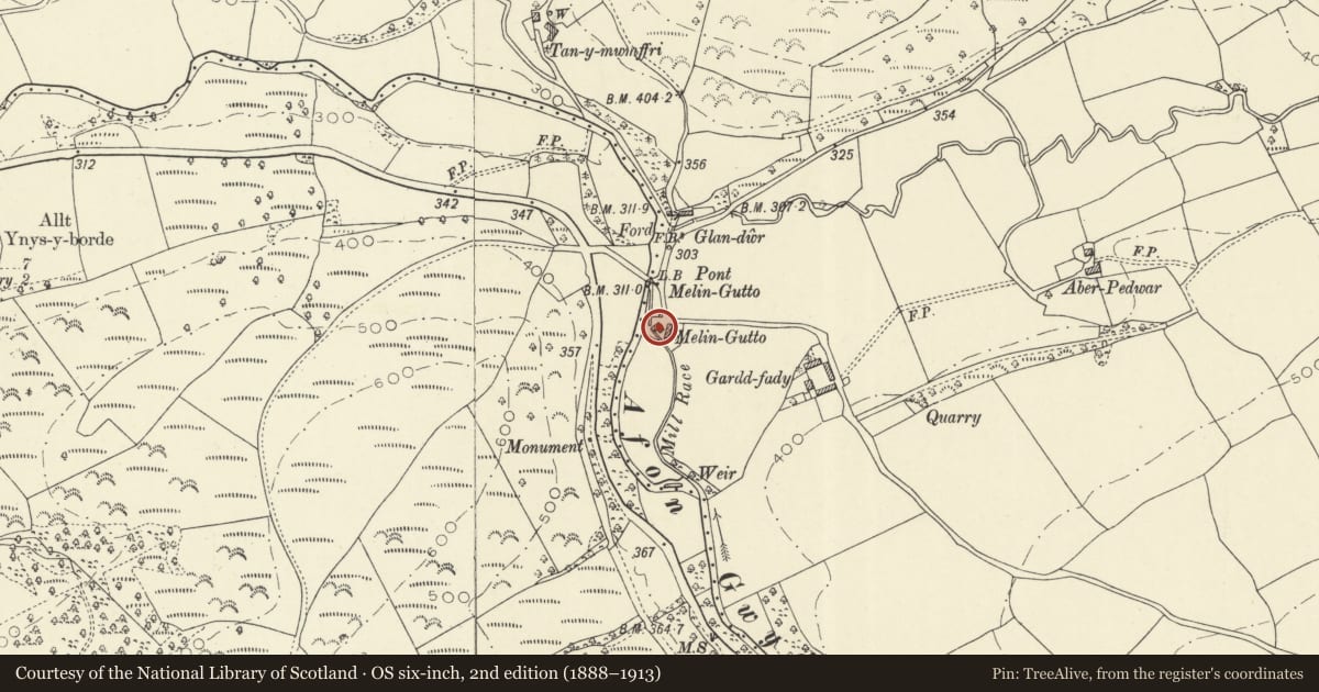 Ordnance Survey six-inch map, 2nd edition (1888–1913) covering the location of Gutto Mill, Llanfair-ar-y-Bryn, Carmarthenshire, with a pin at the register's coordinates