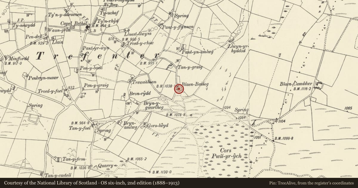 Ordnance Survey six-inch map, 2nd edition (1888–1913) covering the location of Blaenbeidiog, Llangwyryfon, Ceredigion, with a pin at the register's coordinates