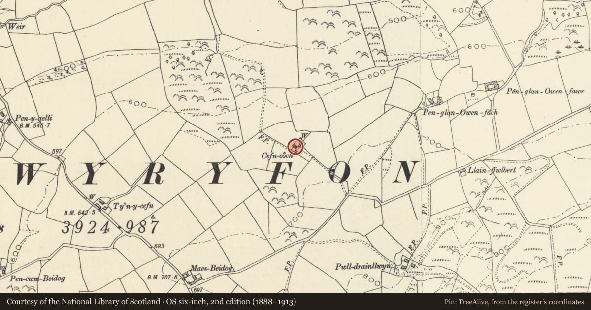 Ordnance Survey six-inch map, 2nd edition (1888–1913) covering the location of Cefn Coch, Llangwyryfon, Ceredigion, with a pin at the register's coordinates