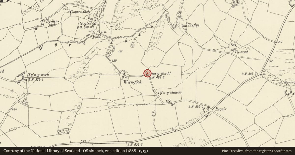 Ordnance Survey six-inch map, 2nd edition (1888–1913) covering the location of Cottage on roadside some 200m E of Wern Fawr farm, Llangwyryfon, Ceredigion, with a pin at the register's coordinates