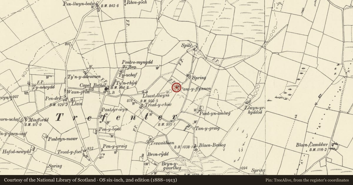 Ordnance Survey six-inch map, 2nd edition (1888–1913) covering the location of Cottage some 250m ESE of Pentre Mynydd, Llangwyryfon, Ceredigion, with a pin at the register's coordinates