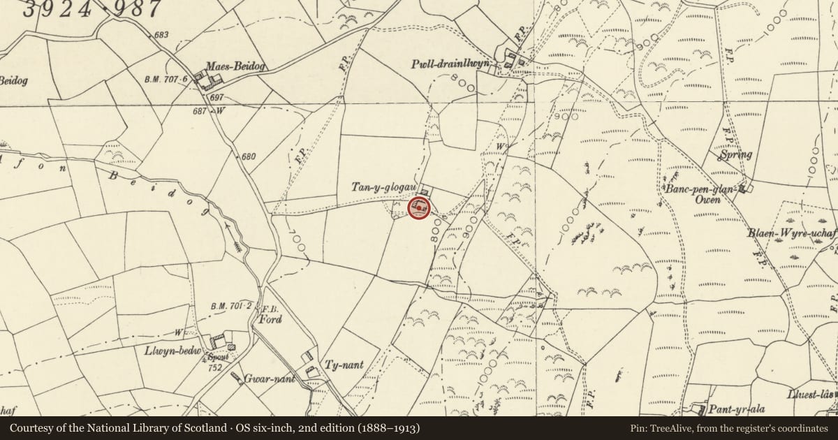 Ordnance Survey six-inch map, 2nd edition (1888–1913) covering the location of Penglanowen Fawr, Llangwyryfon, Ceredigion, with a pin at the register's coordinates