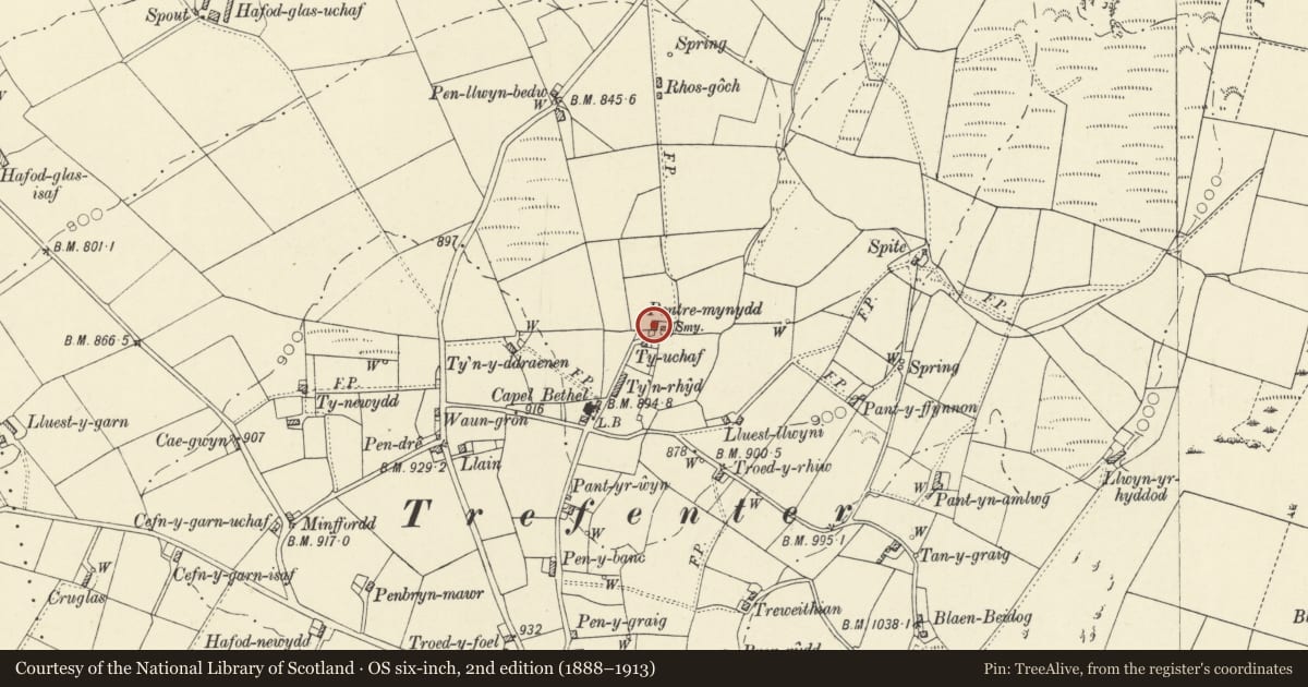 Ordnance Survey six-inch map, 2nd edition (1888–1913) covering the location of Pentre Mynydd, Llangwyryfon, Ceredigion, with a pin at the register's coordinates