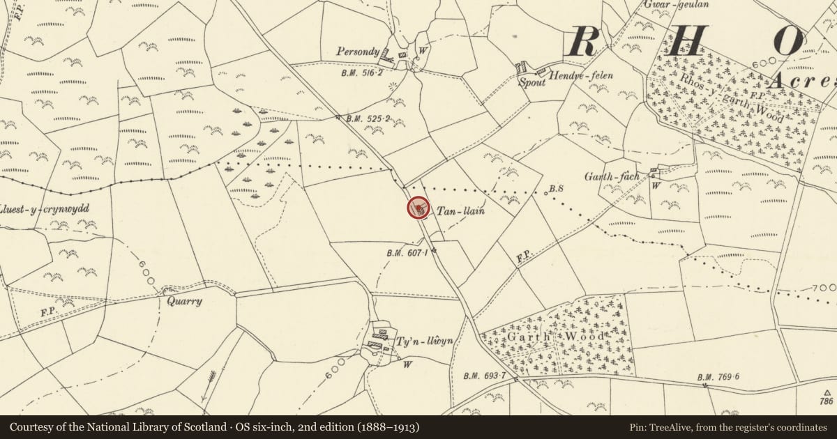 Ordnance Survey six-inch map, 2nd edition (1888–1913) covering the location of Tanllain and attached outbuilding and forge, Llangwyryfon, Ceredigion, with a pin at the register's coordinates