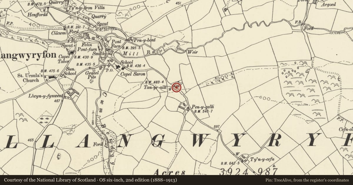 Ordnance Survey six-inch map, 2nd edition (1888–1913) covering the location of Tanyrallt, Llangwyryfon, Ceredigion, with a pin at the register's coordinates