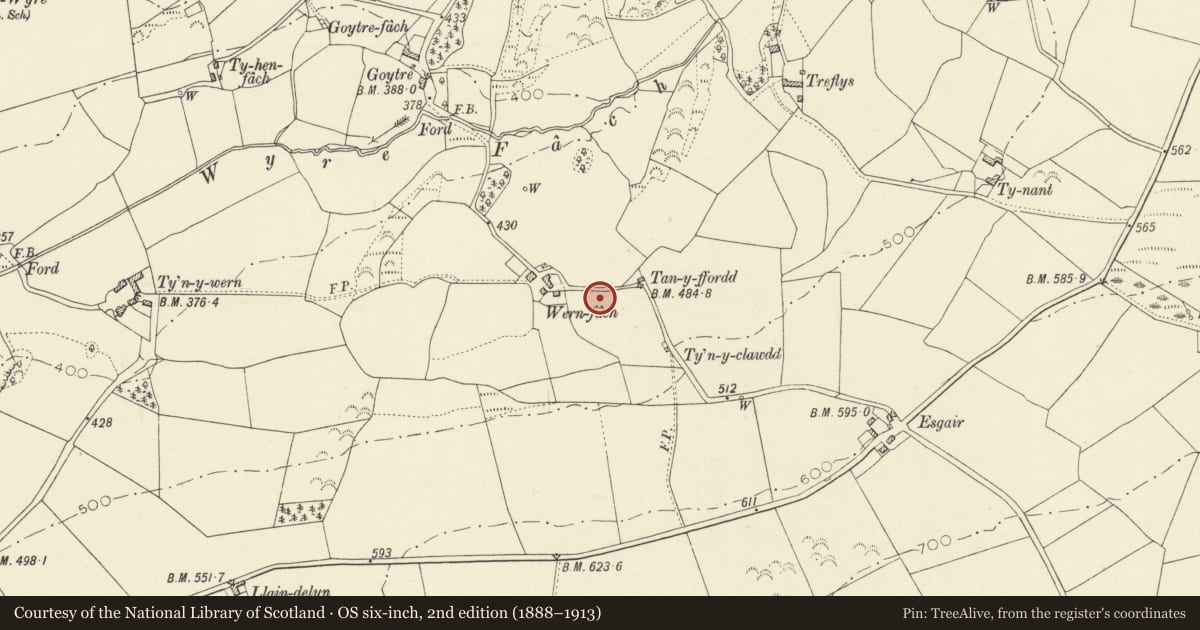 Ordnance Survey six-inch map, 2nd edition (1888–1913) covering the location of Wern Fach, Llangwyryfon, Ceredigion, with a pin at the register's coordinates