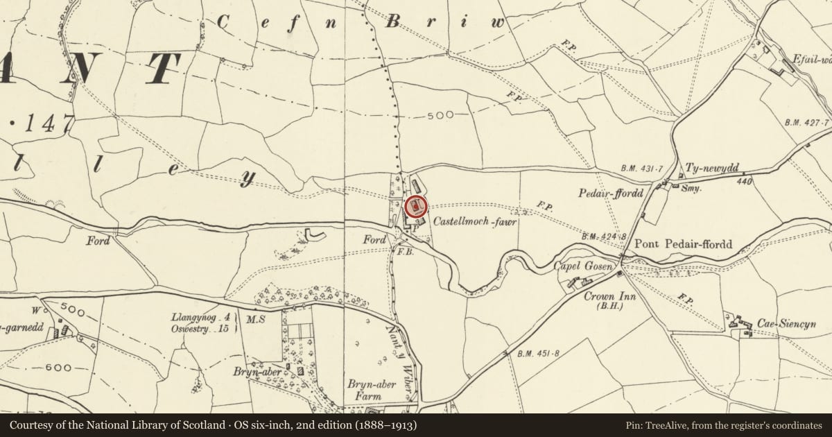 Ordnance Survey six-inch map, 2nd edition (1888–1913) covering the location of Agricultural Range at Castellmoch-fawr, Llanrhaeadr-ym-Mochnant, Powys, with a pin at the register's coordinates