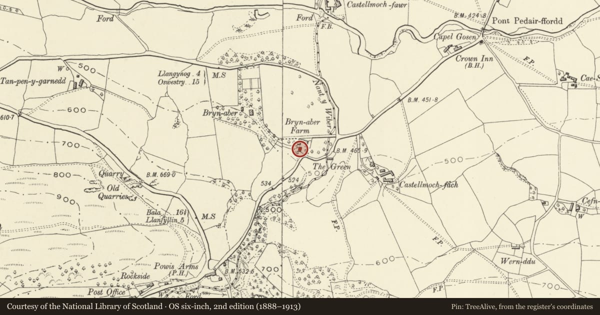 Ordnance Survey six-inch map, 2nd edition (1888–1913) covering the location of Brynaber farmhouse, Llanrhaeadr-ym-Mochnant, Powys, with a pin at the register's coordinates