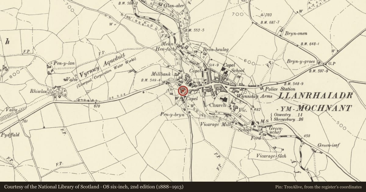 Ordnance Survey six-inch map, 2nd edition (1888–1913) covering the location of Bwthyn-hedd, Llanrhaeadr-ym-Mochnant, Powys, with a pin at the register's coordinates