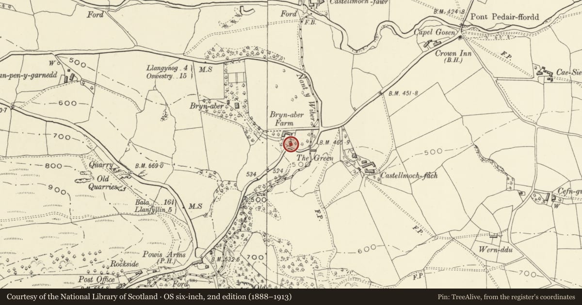 Ordnance Survey six-inch map, 2nd edition (1888–1913) covering the location of Lofted sheds at Brynaber farmyard, Llanrhaeadr-ym-Mochnant, Powys, with a pin at the register's coordinates