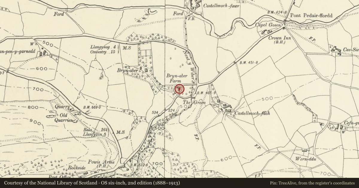 Ordnance Survey six-inch map, 2nd edition (1888–1913) covering the location of Old barn at Brynaber farmyard, Llanrhaeadr-ym-Mochnant, Powys, with a pin at the register's coordinates