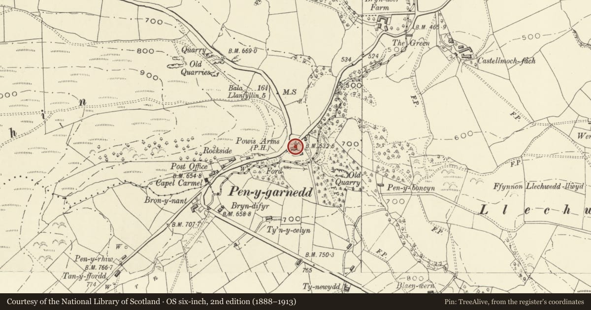 Ordnance Survey six-inch map, 2nd edition (1888–1913) covering the location of Powis, Llanrhaeadr-ym-Mochnant, Powys, with a pin at the register's coordinates