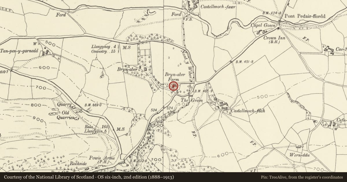 Ordnance Survey six-inch map, 2nd edition (1888–1913) covering the location of Shed range at Brynaber farmyard, Llanrhaeadr-ym-Mochnant, Powys, with a pin at the register's coordinates