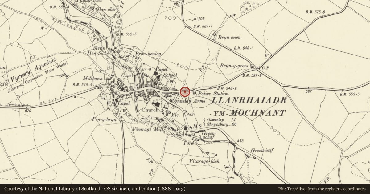 Ordnance Survey six-inch map, 2nd edition (1888–1913) covering the location of 7 Park Street including railings at front, Llanrhaeadr-ym-Mochnant, Powys, with a pin at the register's coordinates